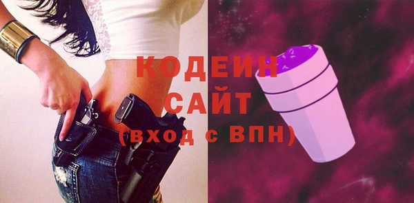 ГАЛЛЮЦИНОГЕННЫЕ ГРИБЫ Богданович