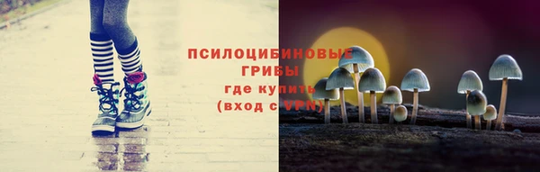 экстази Богородск