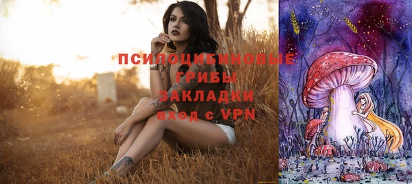 мескалин Богородицк