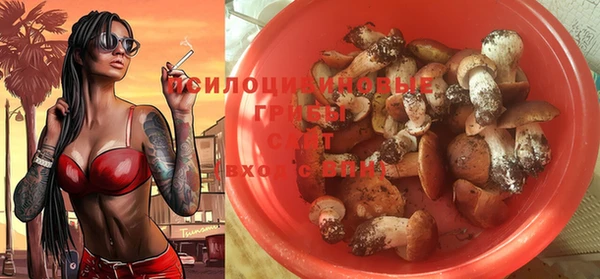 мдпв Пролетарск