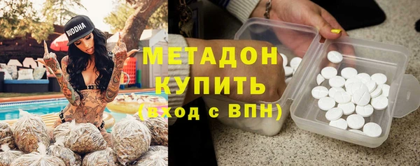 ГАЛЛЮЦИНОГЕННЫЕ ГРИБЫ Богданович