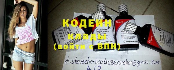ГАЛЛЮЦИНОГЕННЫЕ ГРИБЫ Богданович