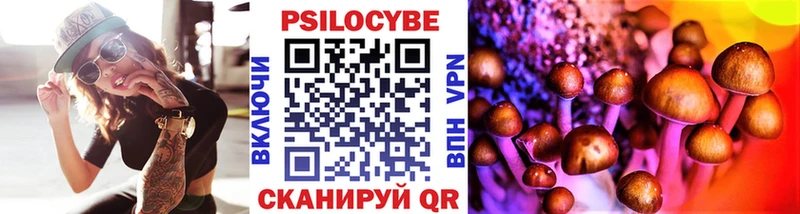 что такое   Воскресенск  Галлюциногенные грибы Psilocybine cubensis 